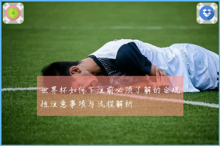 世界杯如何下注前必须了解的合规性注意事项与流程解析